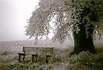 Eastern Europe
