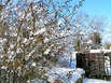 Bulgaria, winter