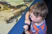 Crocodile farm