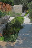 Daily Telegraph Garden