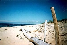 beach, Baltic sea