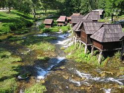 Bosnia and Herzegovina