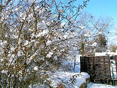 Bulgaria, winter