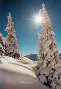 Wealthy Russian winter sports amateurs have long and confidently been conquering the resorts of Western and Eastern Europe