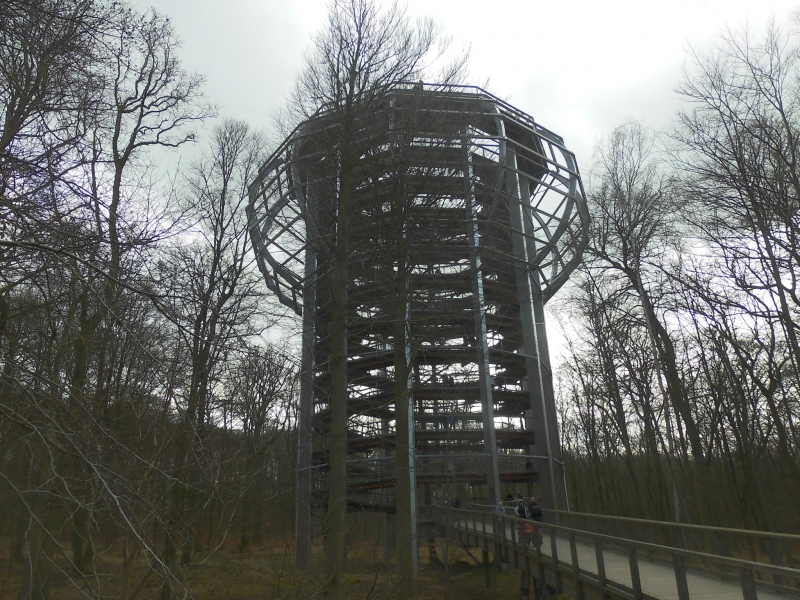 Baumwipfelpfad im Wald