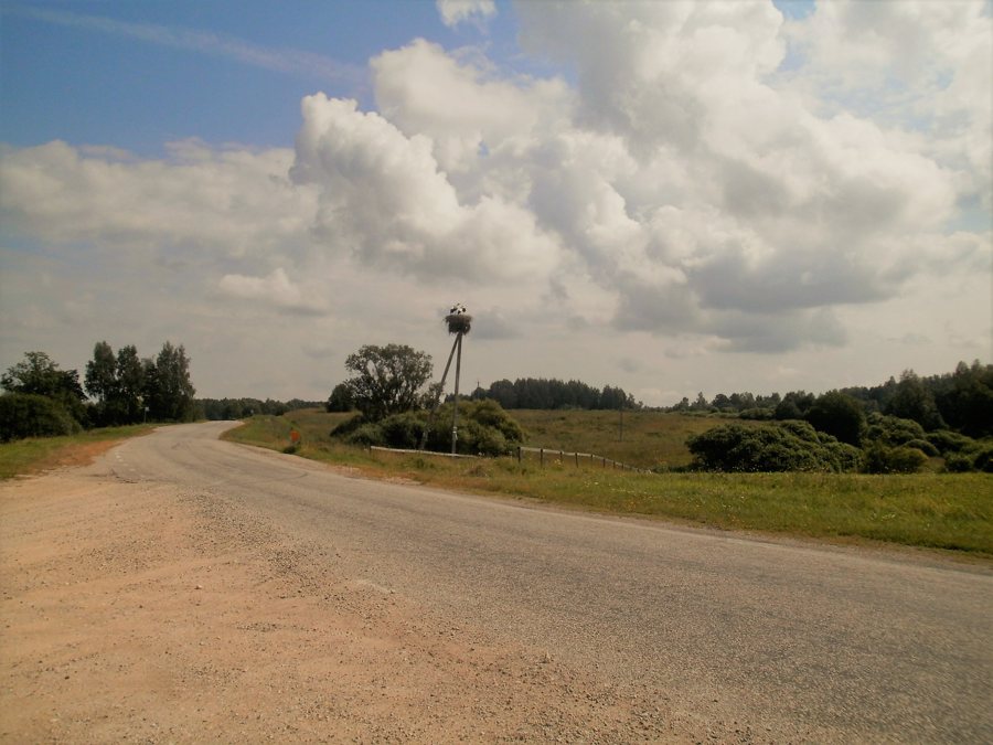 File:Restu–Sihva tee, Märdi küla.jpg