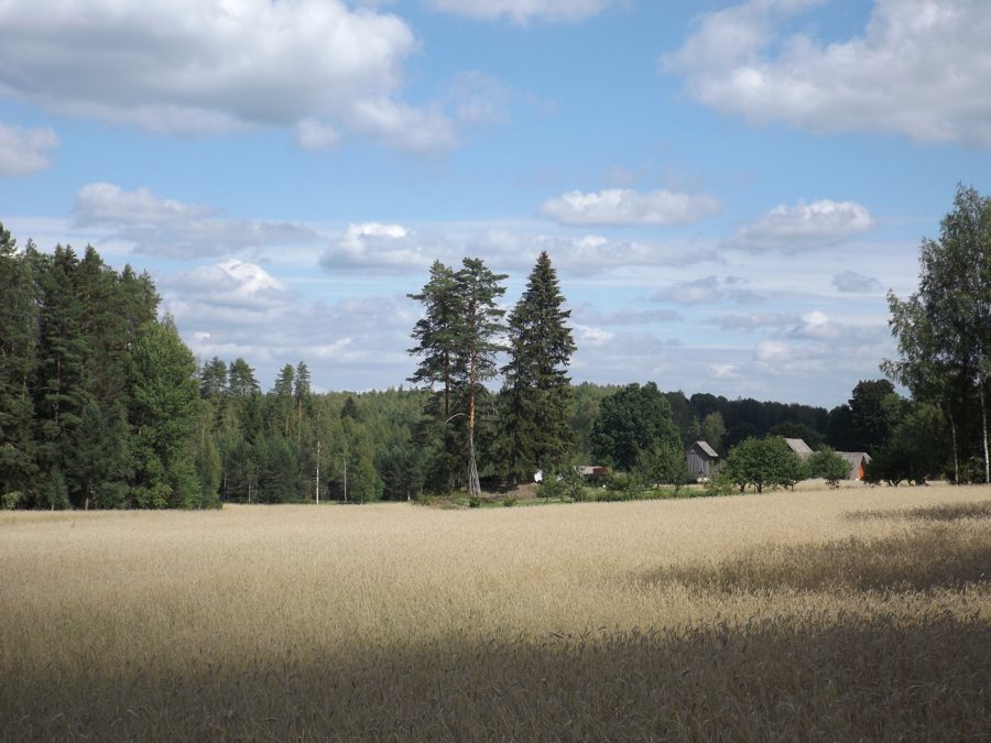 File:Käbli küla 2023.jpg