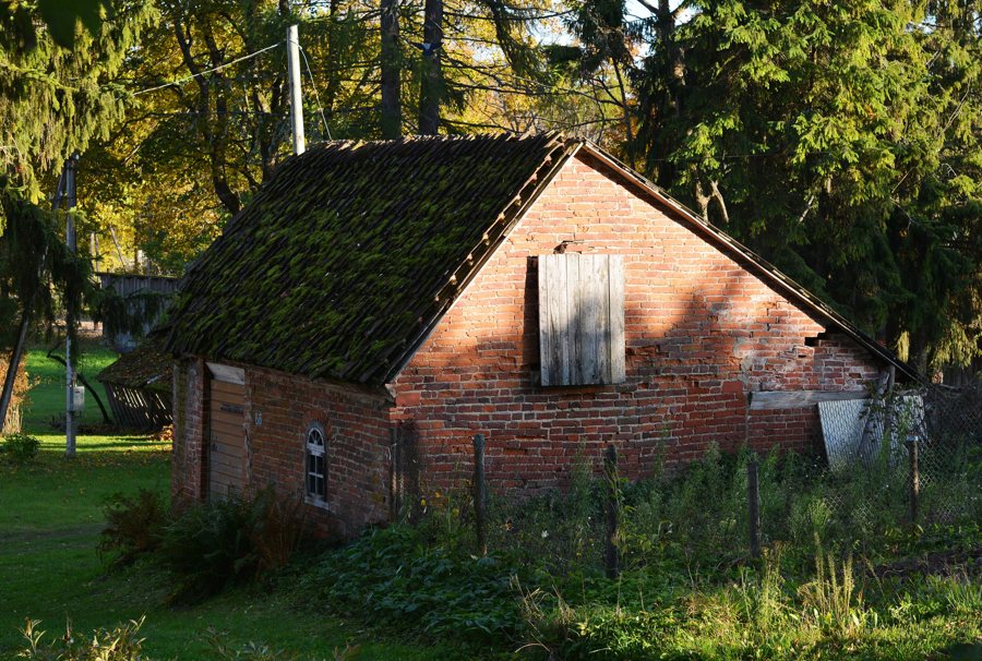 File:Taagepera mõisa kelder a*.jpg