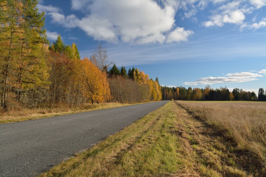 File:Võle-Vainupea-Kunda kõrvalmaantee Võle külas.jpg