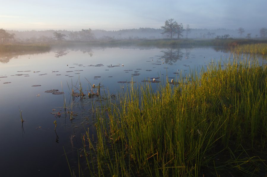 File:Riisa Bog.jpg
