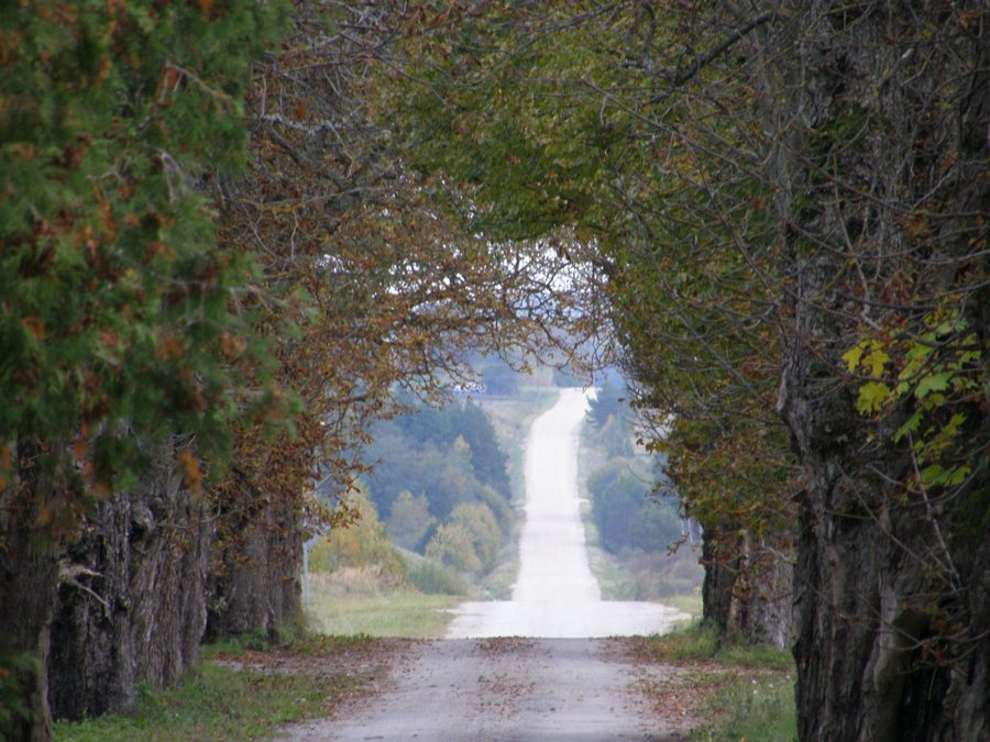 File:Lamiņi - Road to Kandava - panoramio (1).jpg