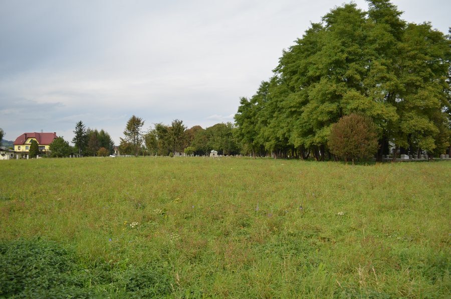Nowy Sącz Jewish Cemetery, late 19th century