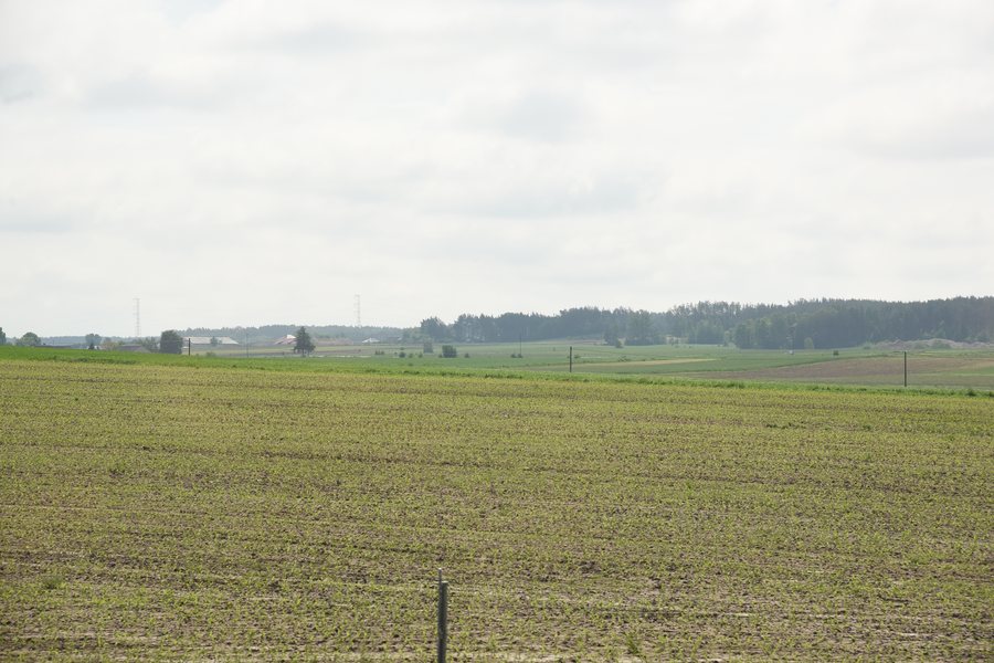 Fields in Podlaskie Voivodeship, May 2019