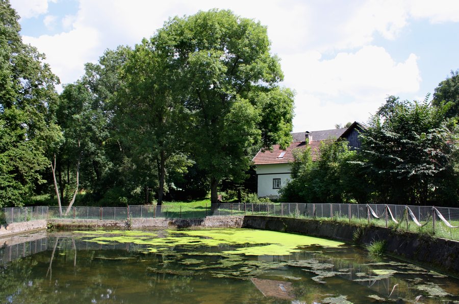 File:Střítež pod Křemešníkem, pond.jpg