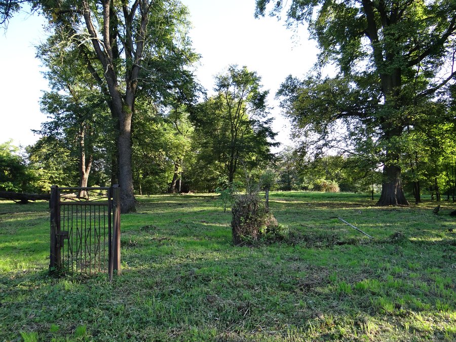 Historic manor park in Bobin, Proszowice municipality