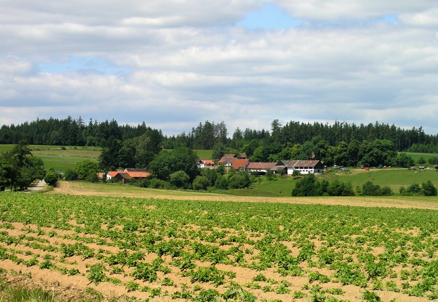 File:Martinice u Onšova, Skoranovice.jpg