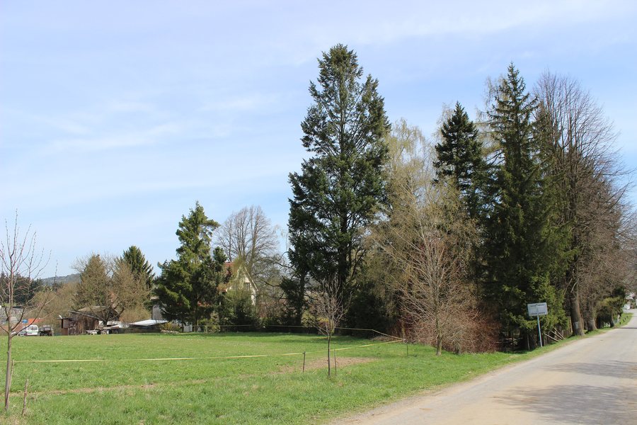 File:Nový Rychnov, jihozápadní pohled.jpg