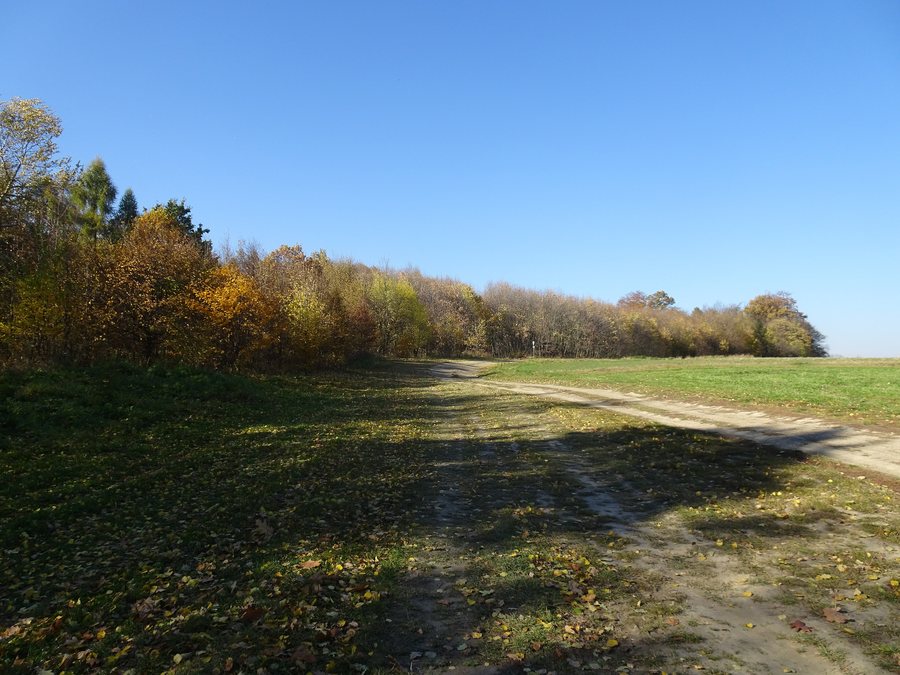 File:Vřesina (OV), u Mezihoří.jpg