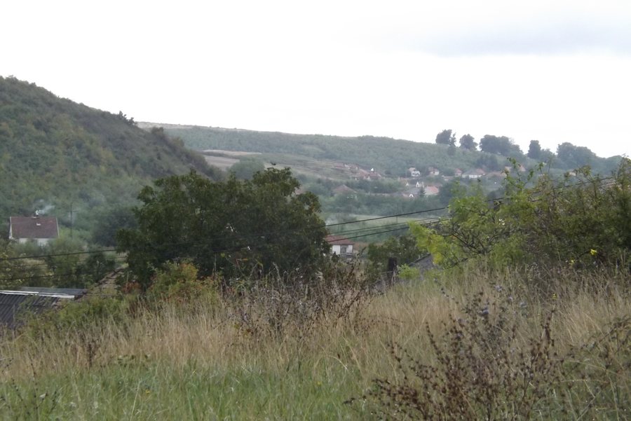 File:A kőfejtő környéke, Sály végével.JPG