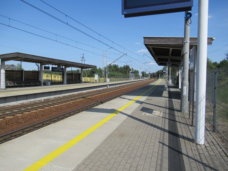 File:Cierpice Kąkol ~23nykjkx.jpg