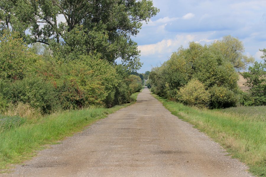 File:Road between Běchárky and Běchary.jpg