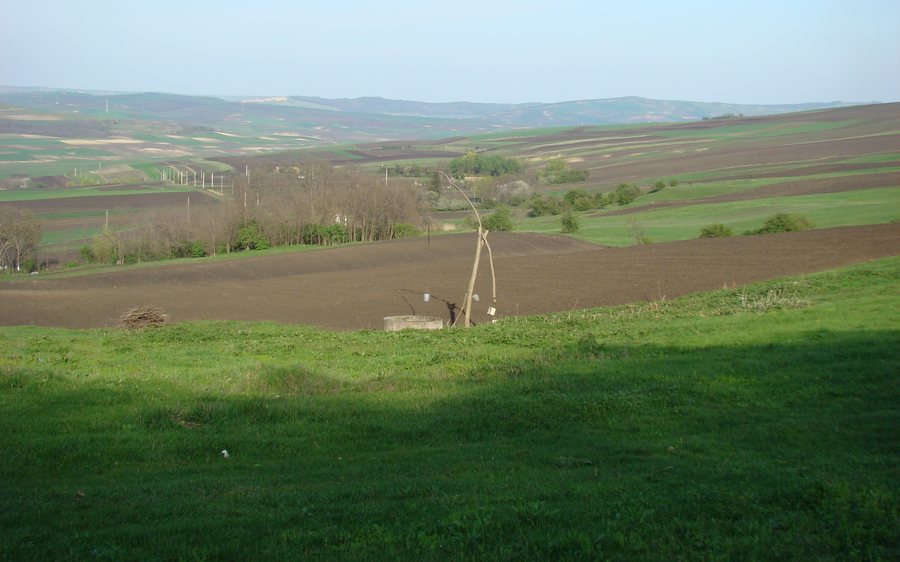 File:Padureni-HotarCJ (2).JPG