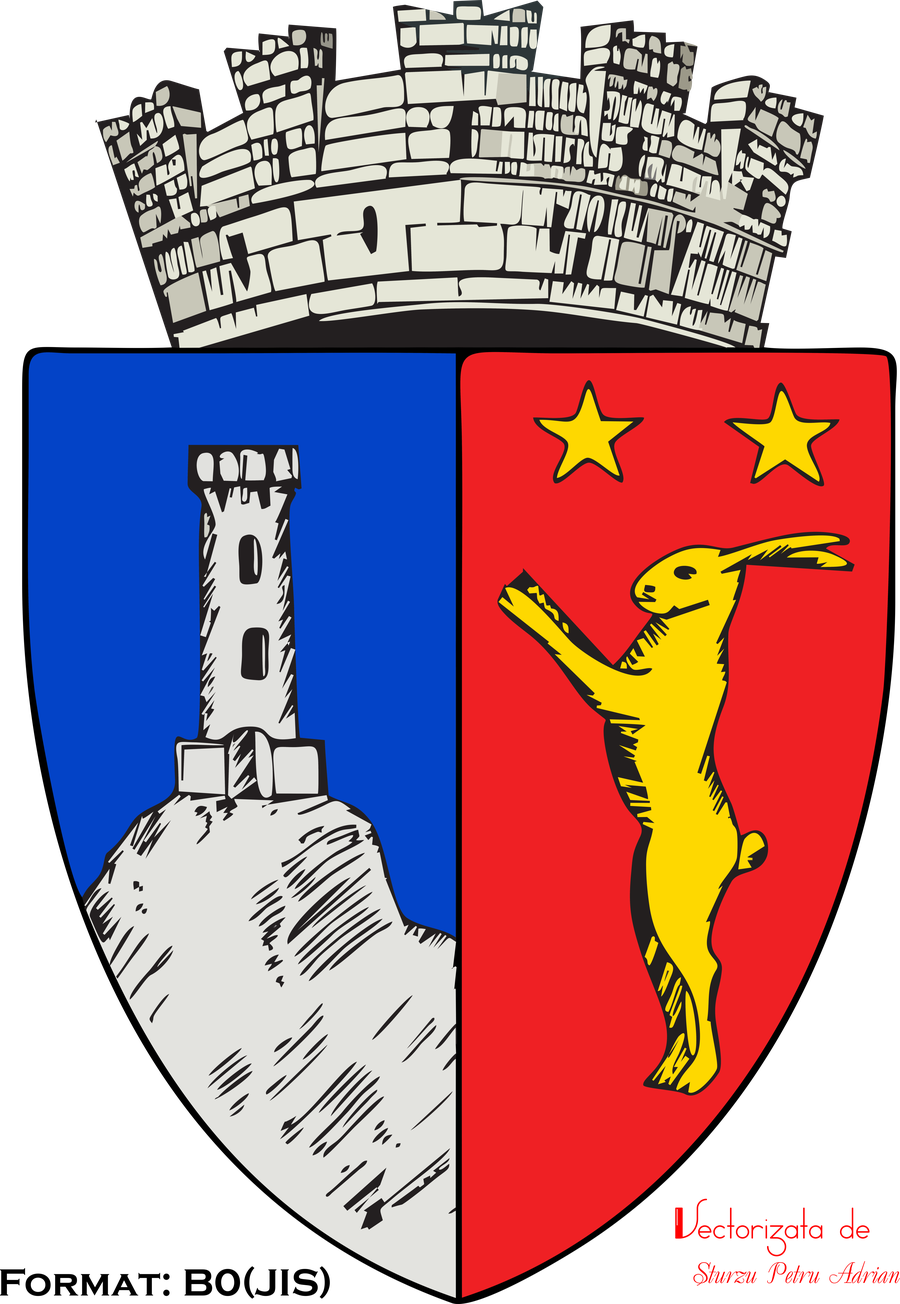 File:ROU GL Tecuci CoA3.png