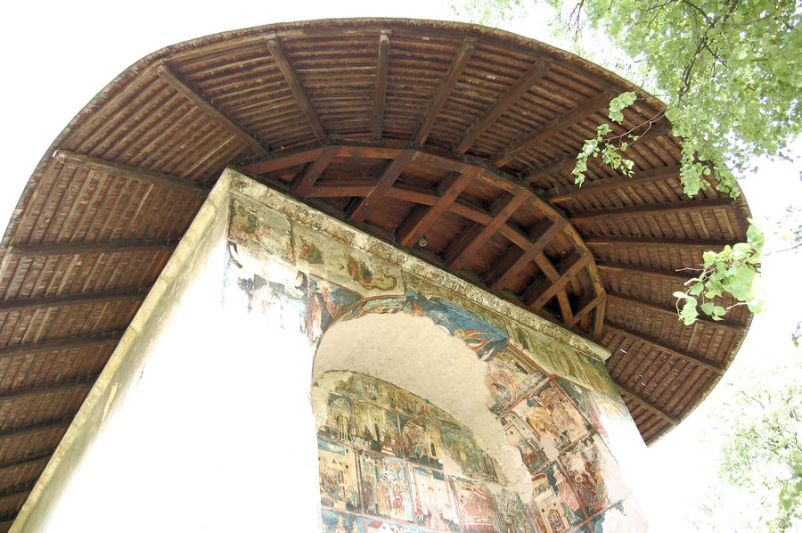 File:Arbore (1) (7013721927).jpg