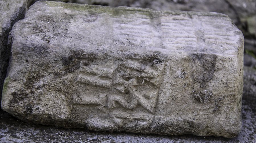 File:Bughea de Jos AG.fragment cruce 7253.jpg