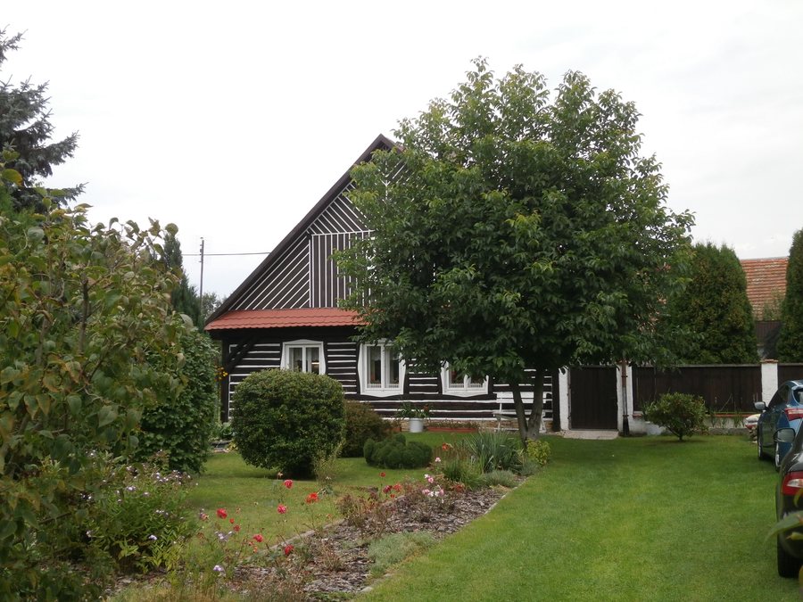 File:Bor u Skutce 11.jpg