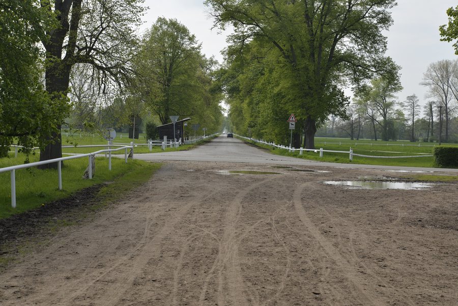 File:Kladruby nad Labem, road to Selmice.jpg