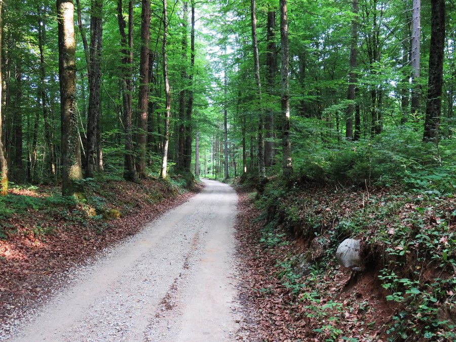 File:Cegelnica Zuzemberk Slovenia - road.jpg
