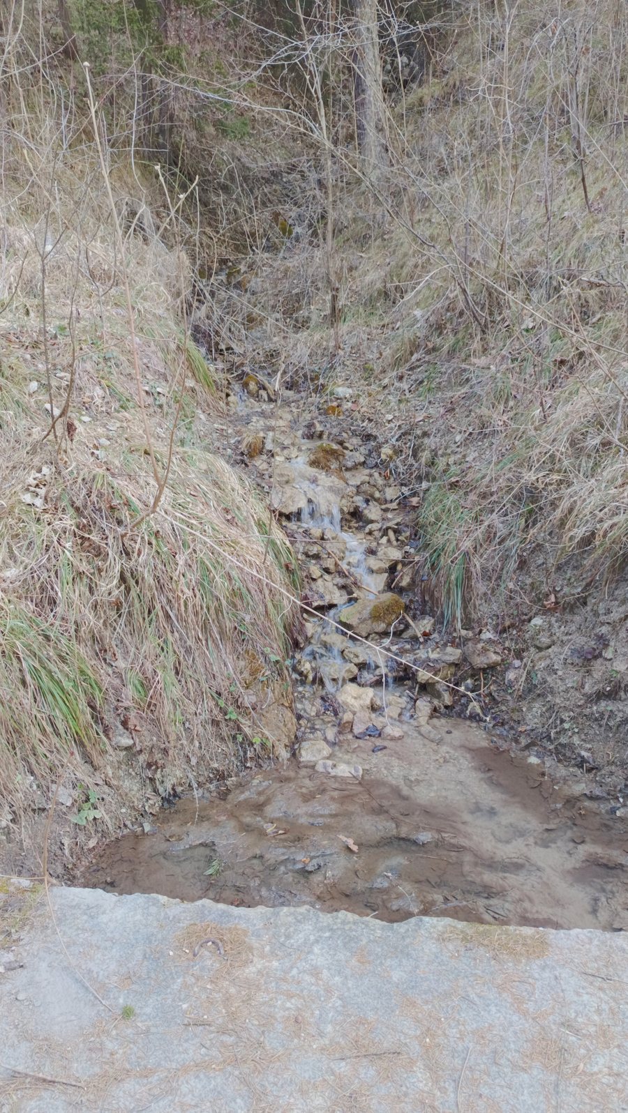 File:Besná (přítok Váhu), Hrboltová, Ružomberok, okres Ružomberok, Žilinský kraj.jpg