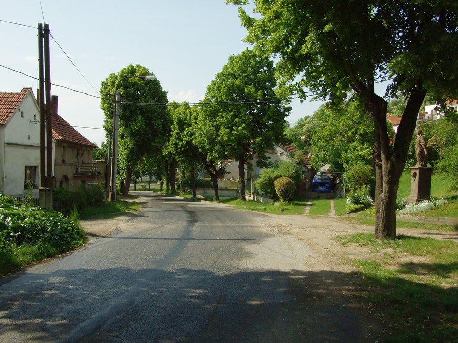 File:Chržín, cesta.JPG