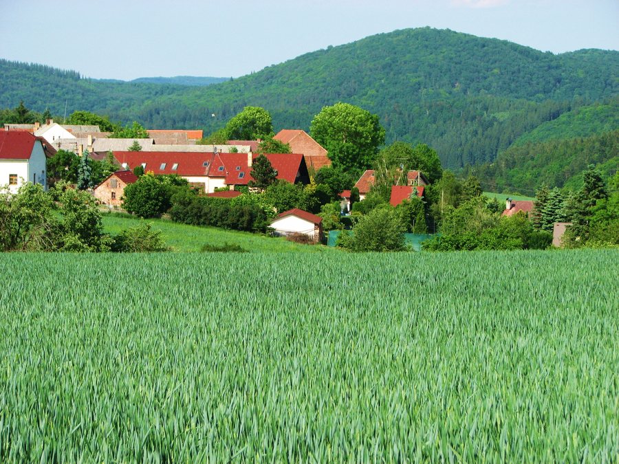 File:Ostrovec-Lhotka.JPG
