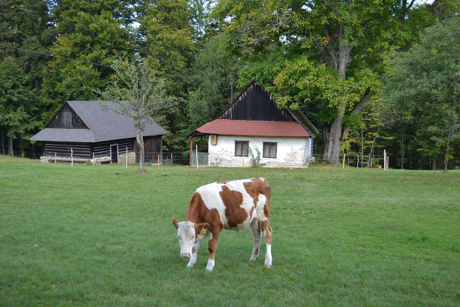 File:Hriňová (Biele Vody)-1.jpg
