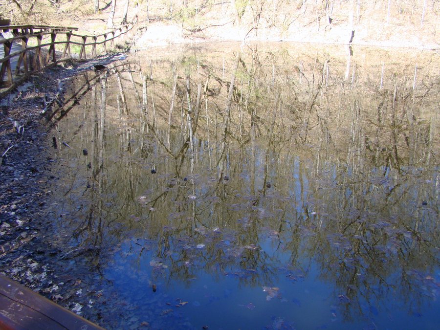 File:Lacul Roșu din Sovata (1).jpg