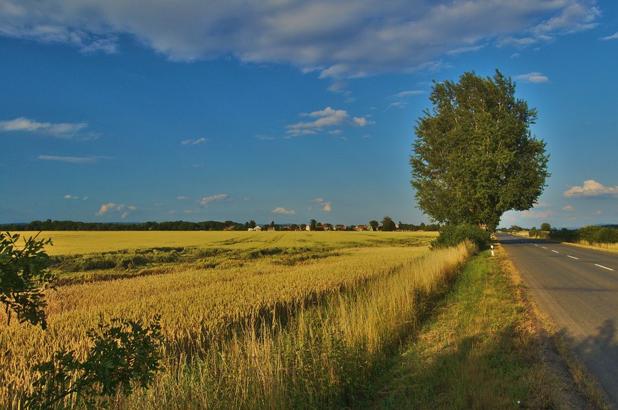 File:Hrdibořice od silnice na Prostějov.jpg