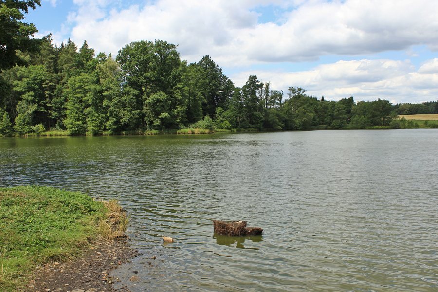 File:Jarošov nad Nežárkou, Lovětín, Fojtovský pond.jpg
