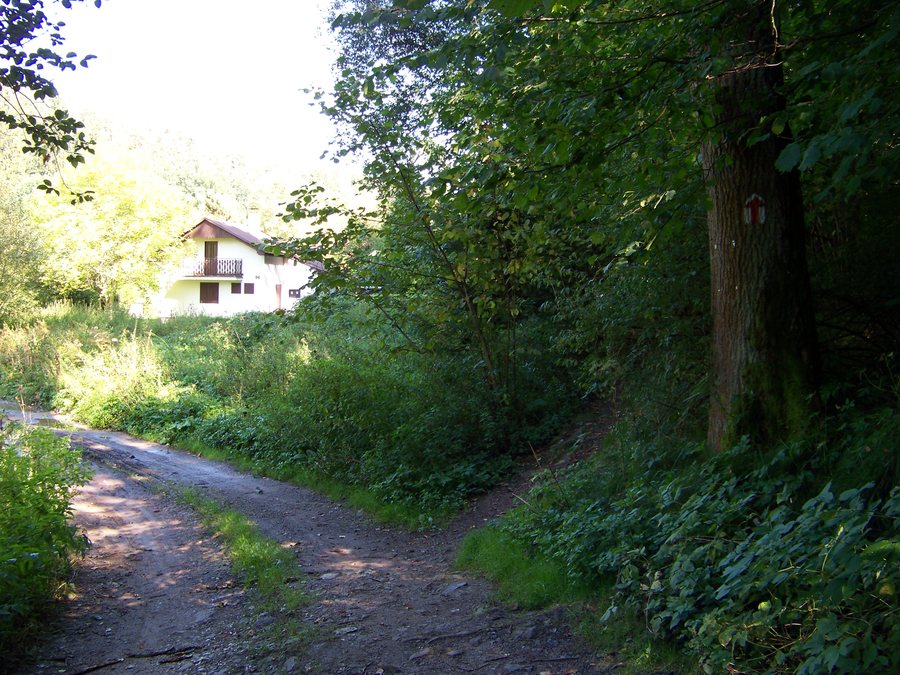 File:Dobřejice, rozcestí cest u Lužnice.jpg
