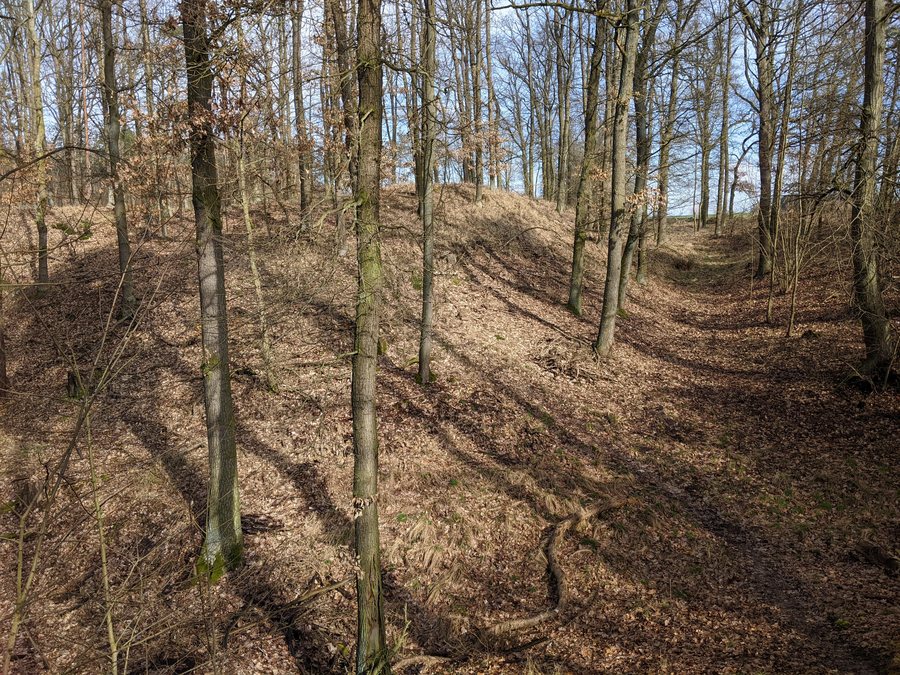 File:Písková Lhota - hradiště Valy (1).jpg