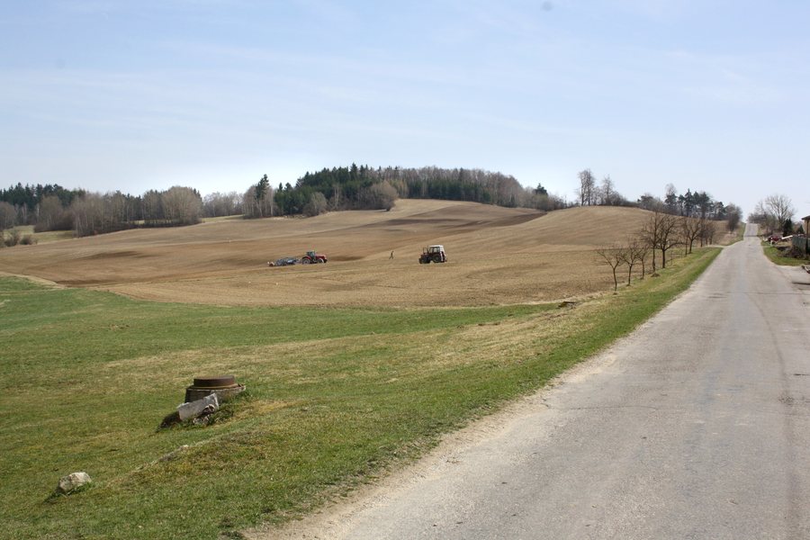 File:Pavlínov, road to Horní Radslavice.jpg