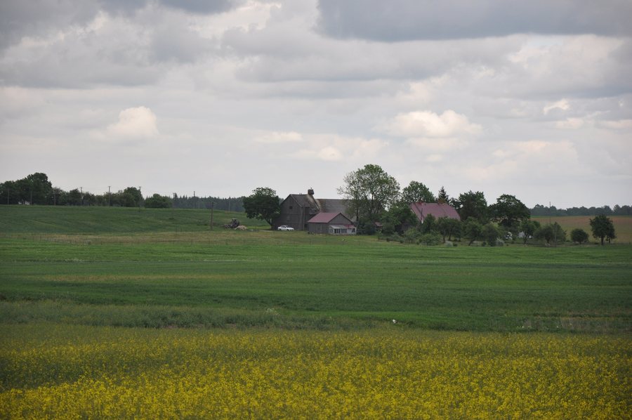 File:Baltā stārķa ligzda Nr.1446, Pampāļu pagasts, Saldus novads, Latvia - panoramio.jpg