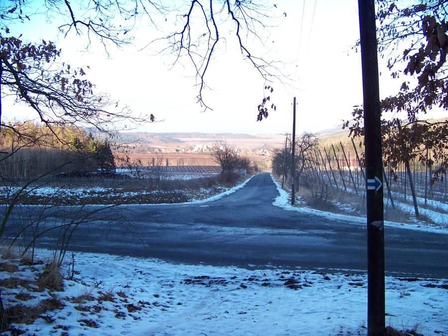 File:Pnětluky, od jihu.jpg