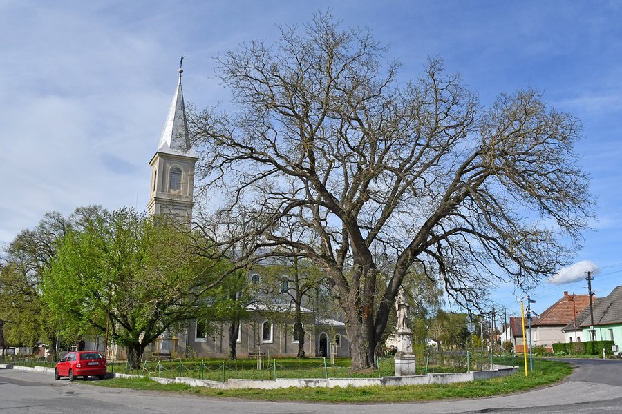 File:Sekule, Roman Catholic church 2024 01.jpg