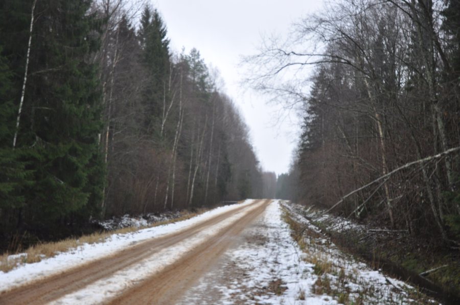 File:Ceļš mežā Pāles pagastā, netālu no Tenīšiem, Pāles pagasts, Limbažu novads, Latvia - panoramio.jpg