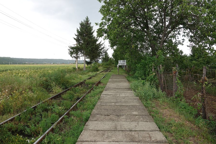 File:Gura Vitioarei train station.01.jpg