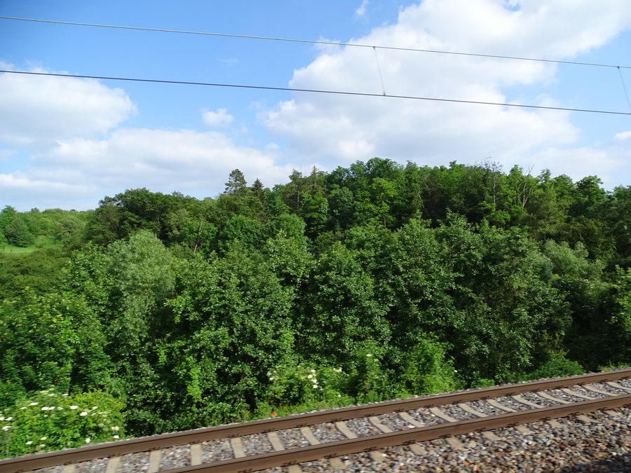 File:Klučov (KO), kopec se hřbitovem a hradištěm.jpg