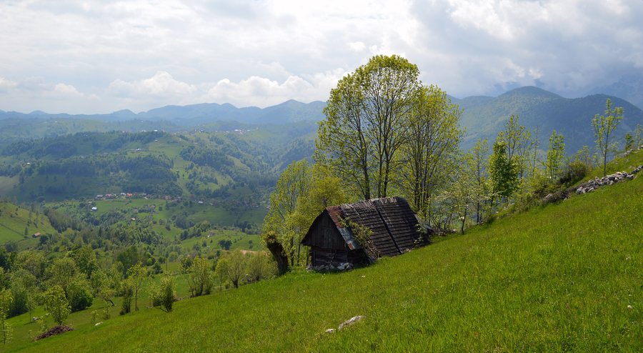 File:View towards the south from pasture above Măgura, Moieciu, 2017.jpg