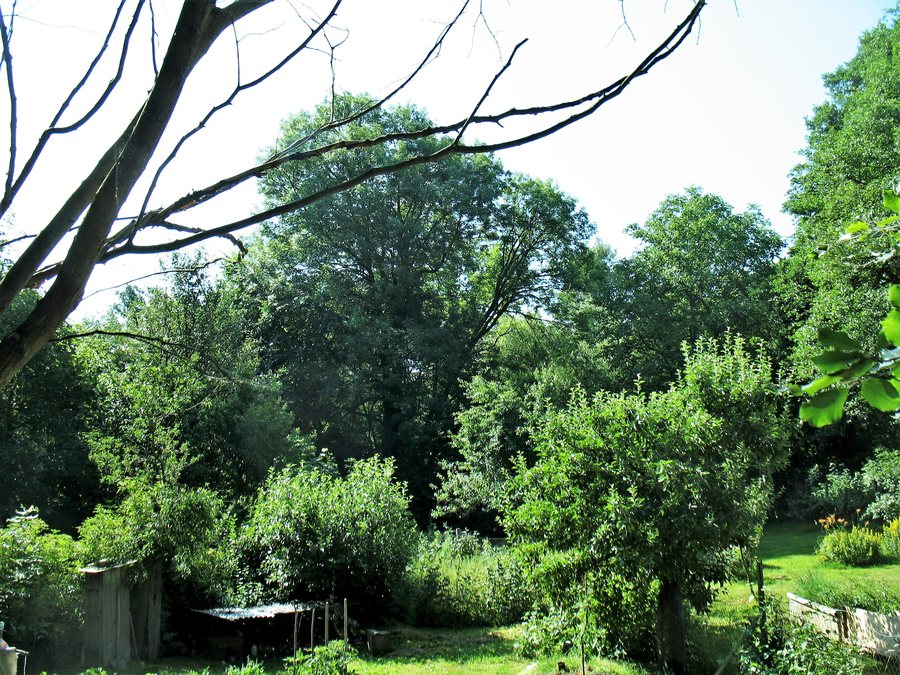 File:Zámecký park Červená Řečice (3).jpg